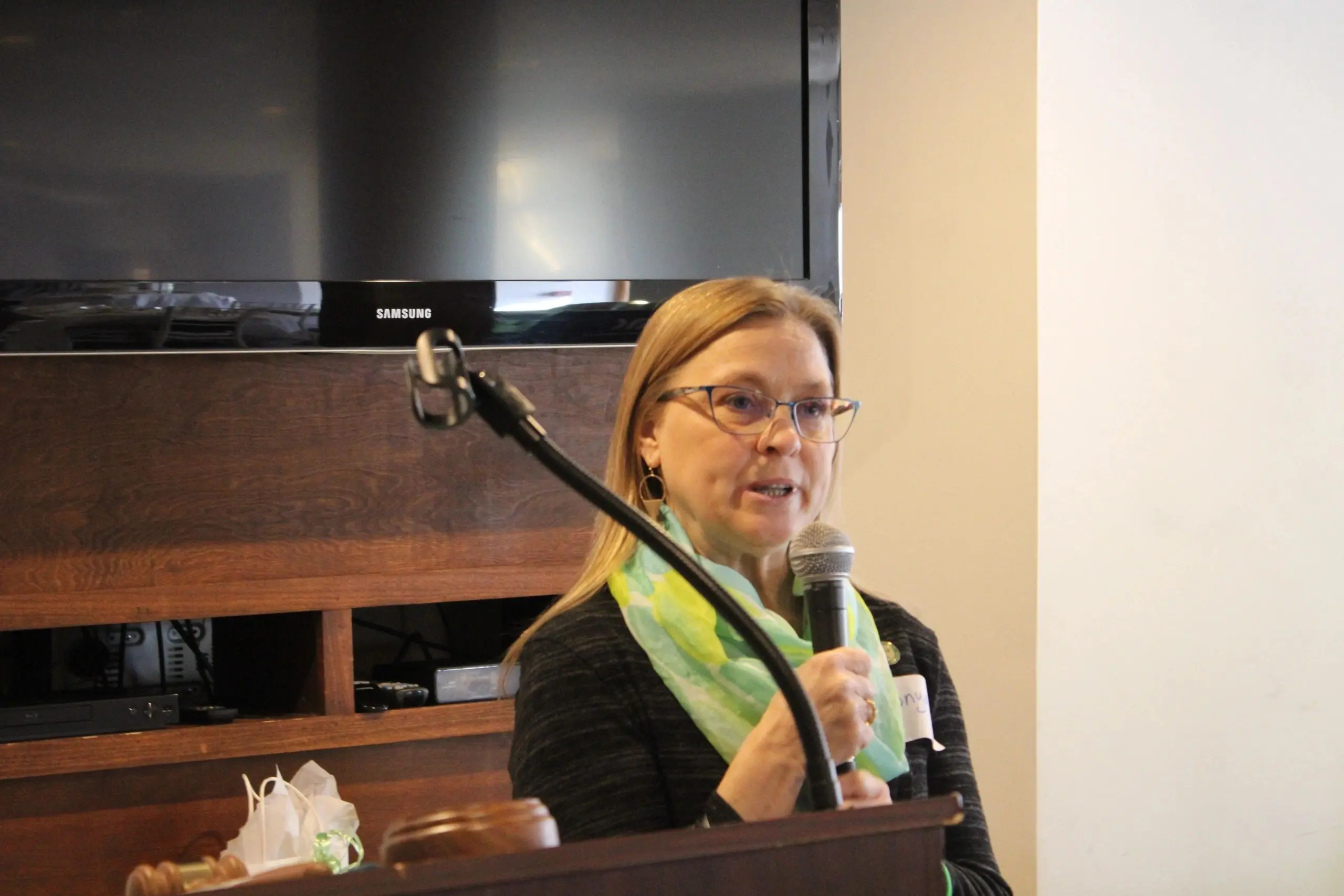 Person giving a speech indoors