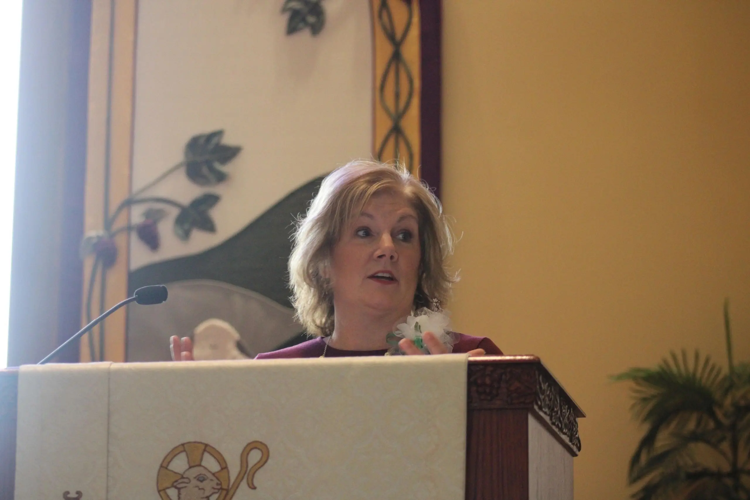 Speaker addressing an audience